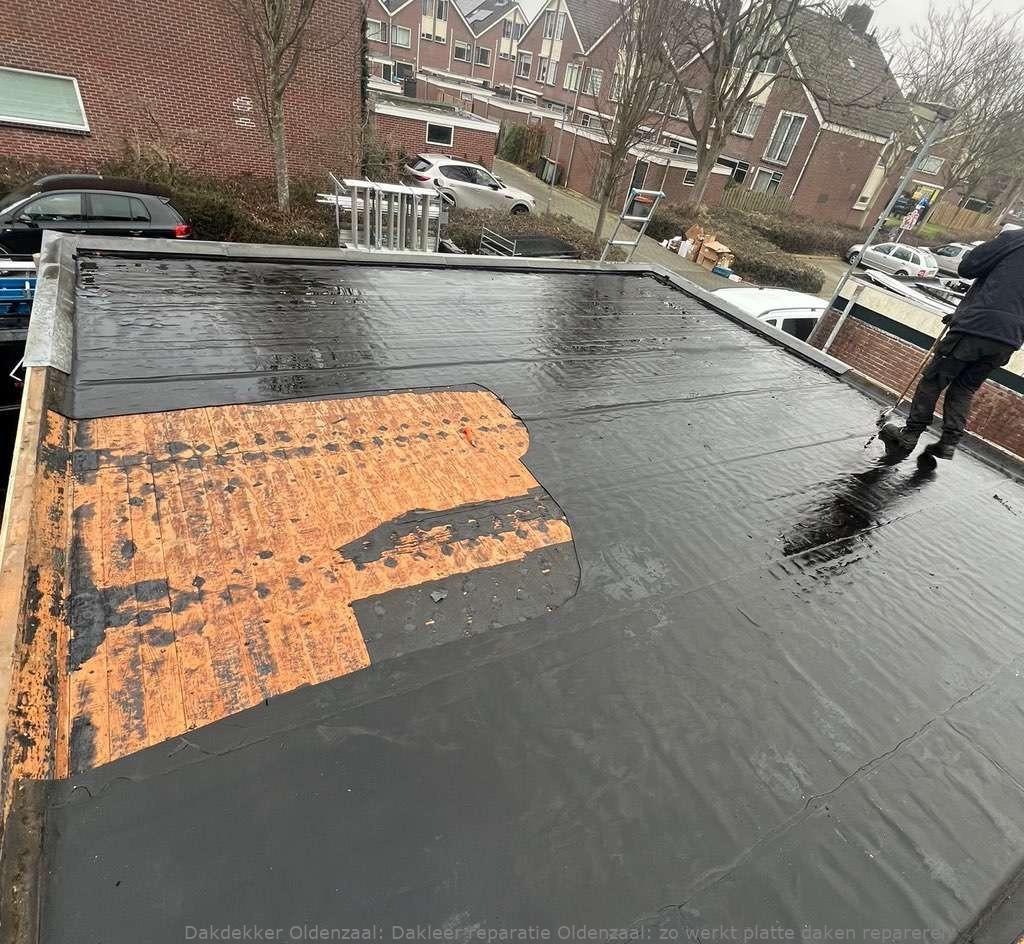 Dakleer Reparatie Oldenzaal