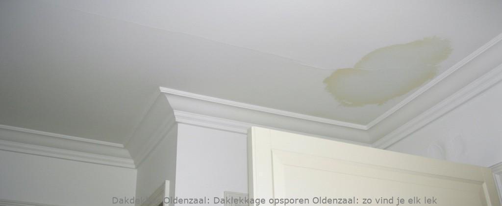 Daklekkage Opsporen Oldenzaal 1