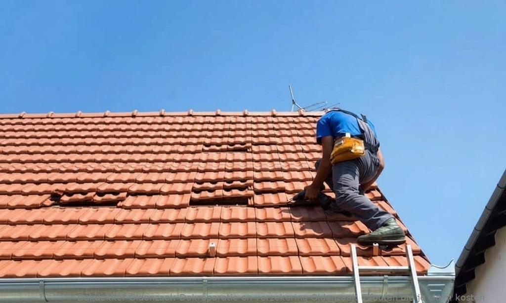 Dakreparatie En Verzekering Oldenzaal