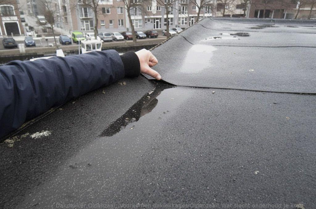 Voorkomen Daklekkages Oldenzaal
